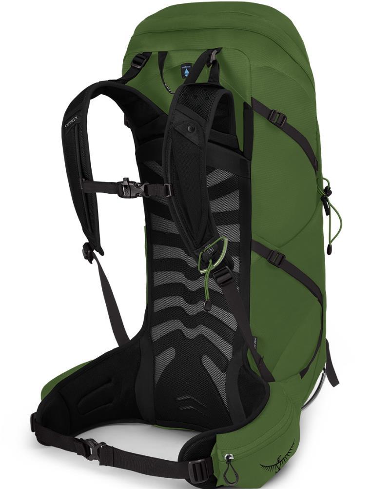 Talon 36 - Mens - Green Belt / Black 2