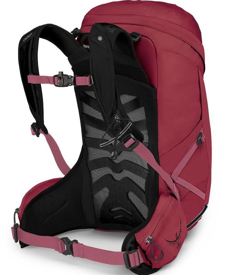 Tempest 24 - Womens - Kakio Pink / Purple Ink 2