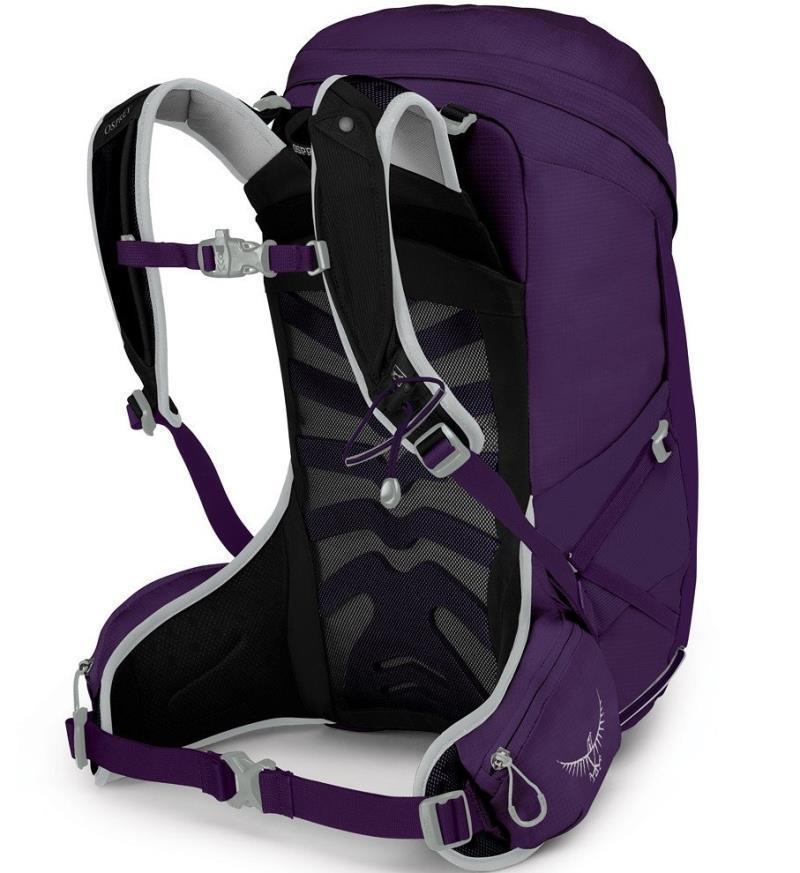 Tempest 24 - Womens - Violac Purple 2