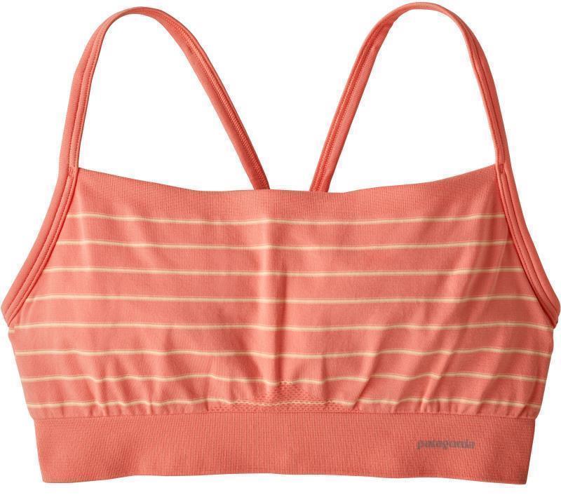 Active Mesh Bra - Sentinel Stripe Small / Peak Pink 1