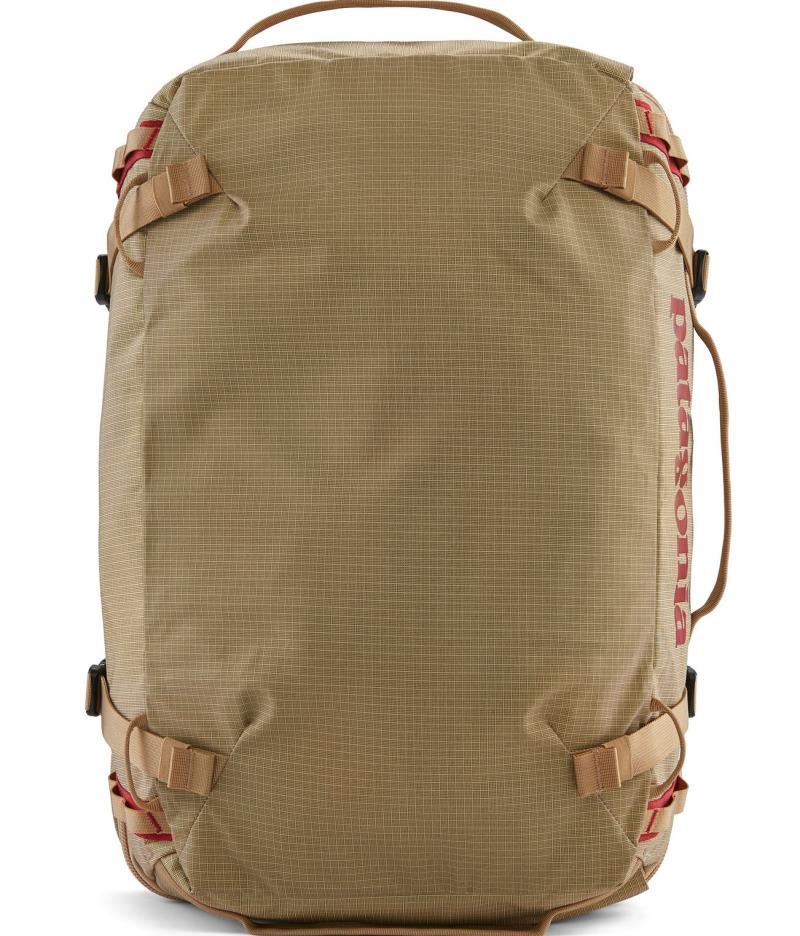 Black Hole MLC - Tinamou Tan 2