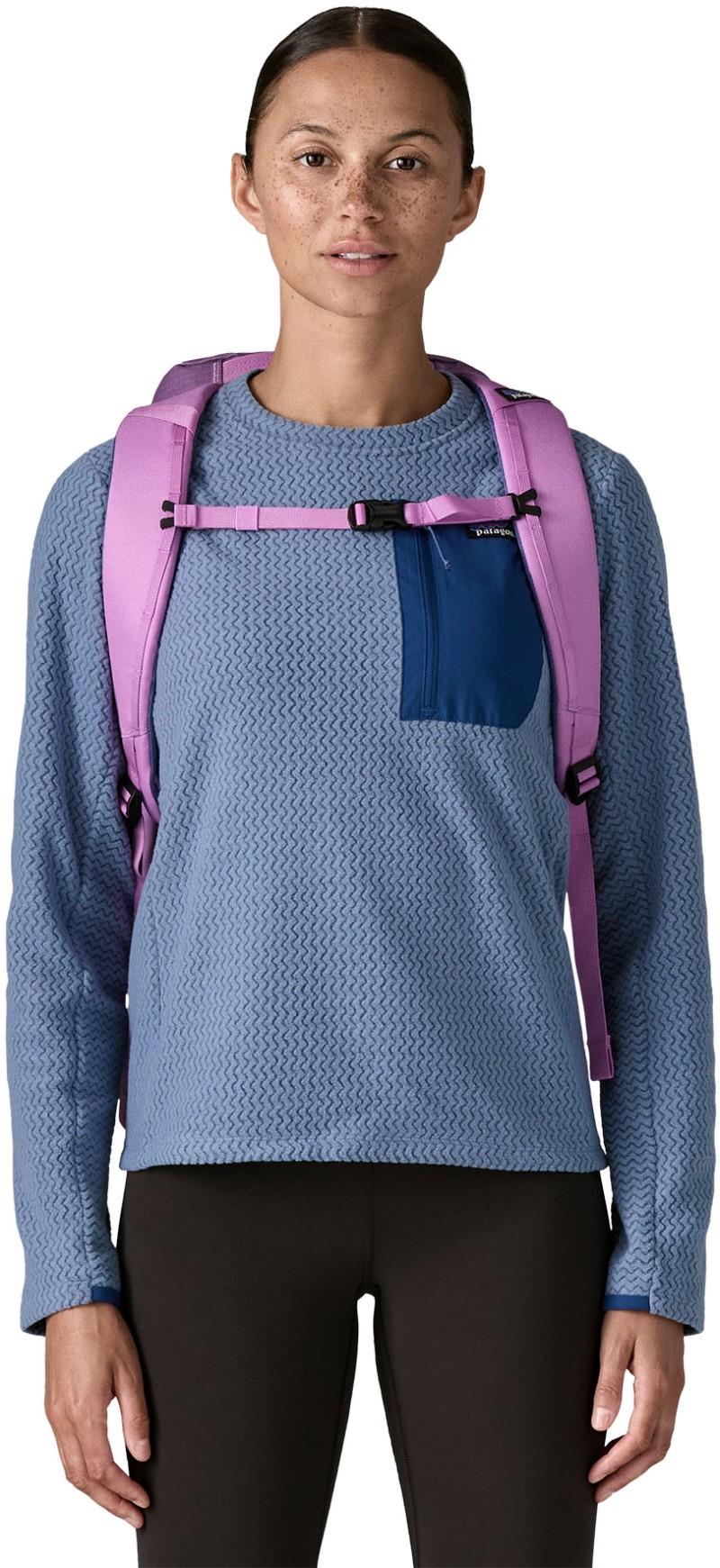 Black Hole Pack 25L - brisk purple 1