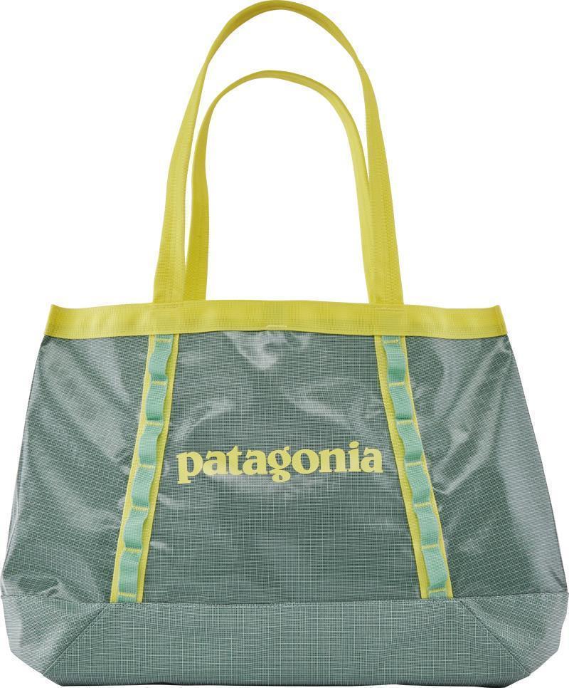 Black Hole Tote 25L - Gypsum Green 1