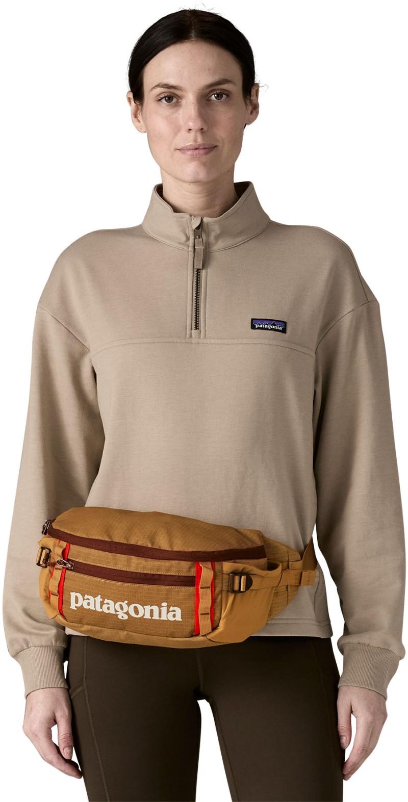 Black Hole Waist Pack 5L - talon gold 1