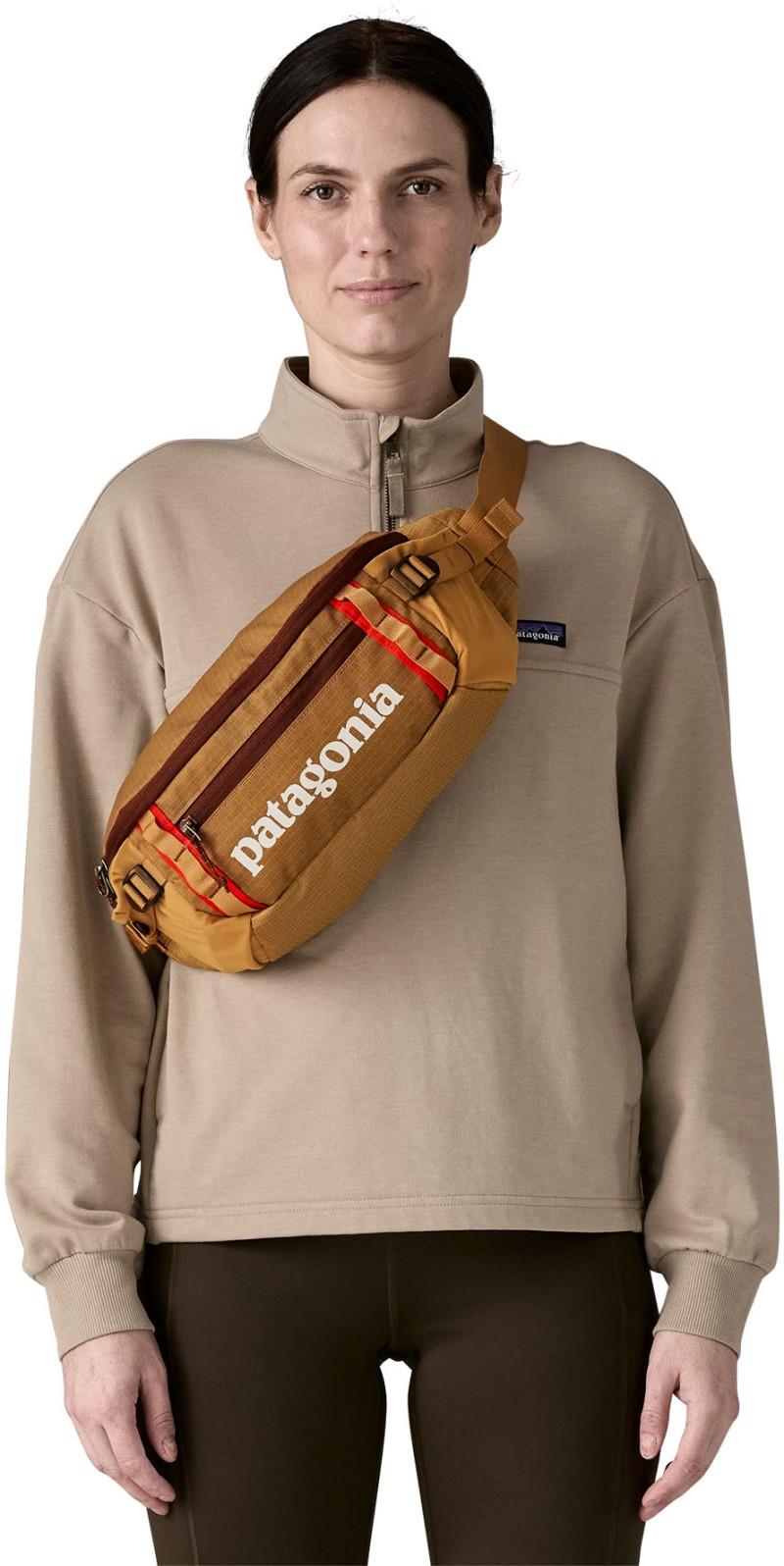 Black Hole Waist Pack 5L - talon gold 1