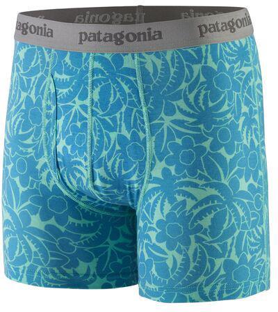 Essential Boxer Briefs, 3" Inseam - Mens - abundance / early teal 1