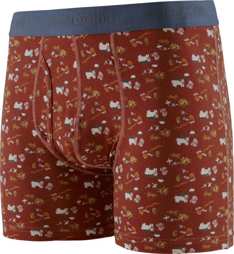 Essential Boxer Briefs, 3" Inseam - Mens - homeward bound multi / barn red 1