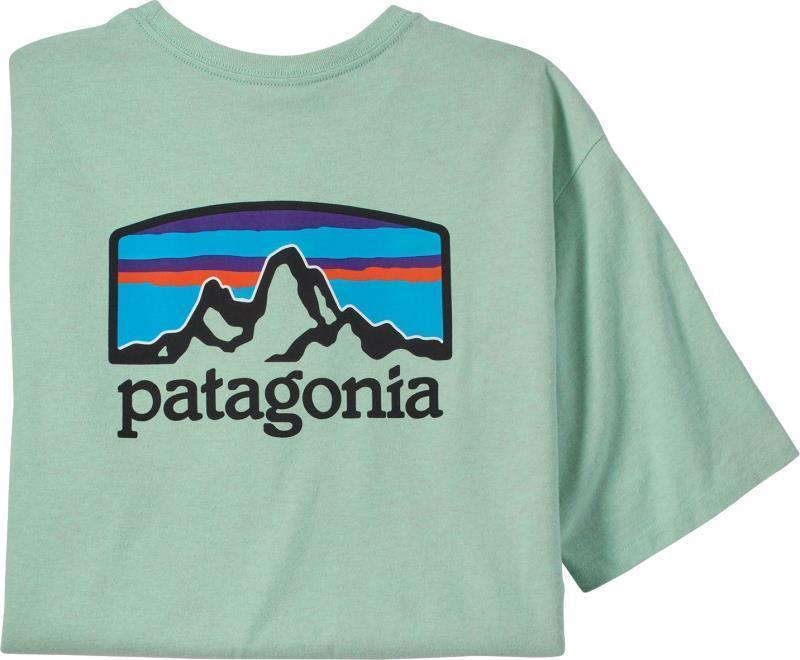 Fitz Roy Horizons Responsibili-Tee SS - Mens - tea green 1