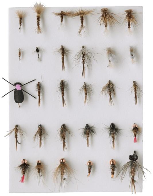 Pheasant Tail Simplicity Fly Box - clear 1