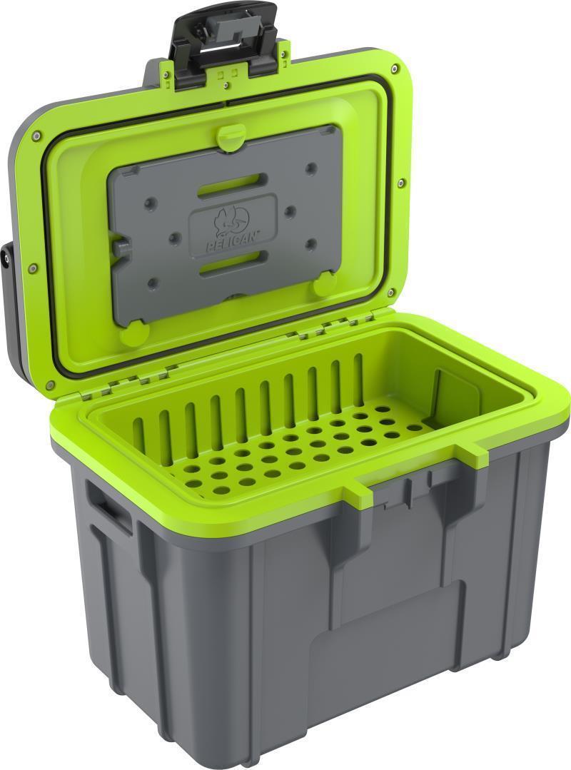 Personal Cooler 8QT - Dark Grey / Green 7