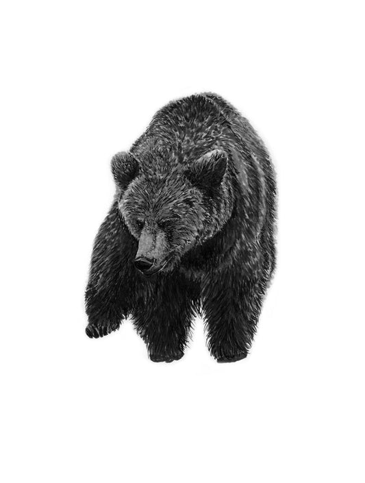 Bear Card - not applicable 1