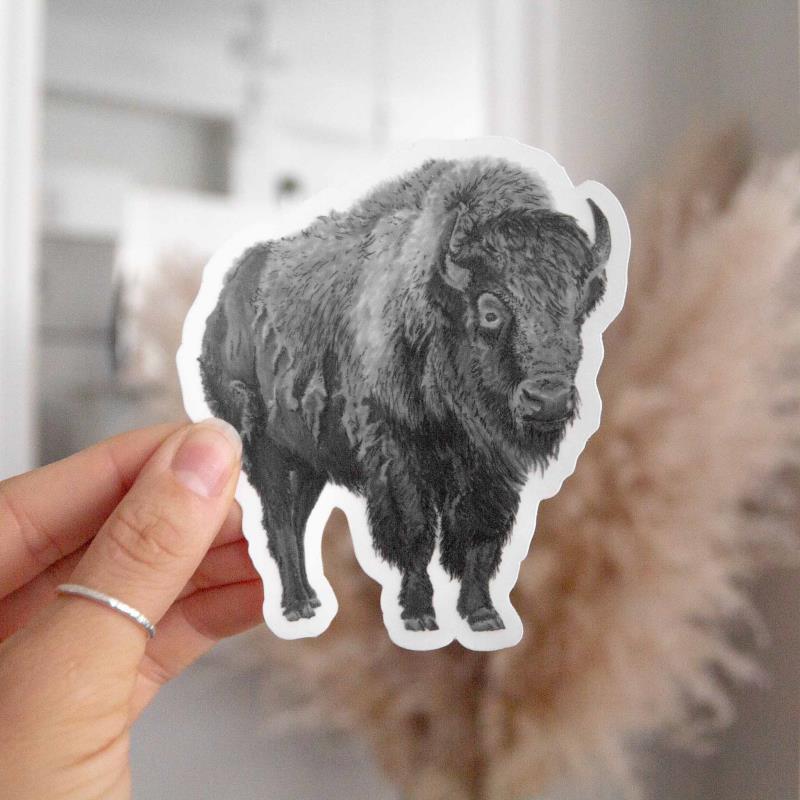 Bison Sticker - not applicable 1