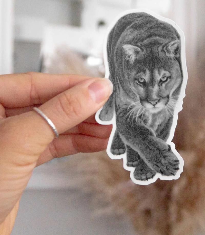 Cougar Sticker - Not Applicable 2
