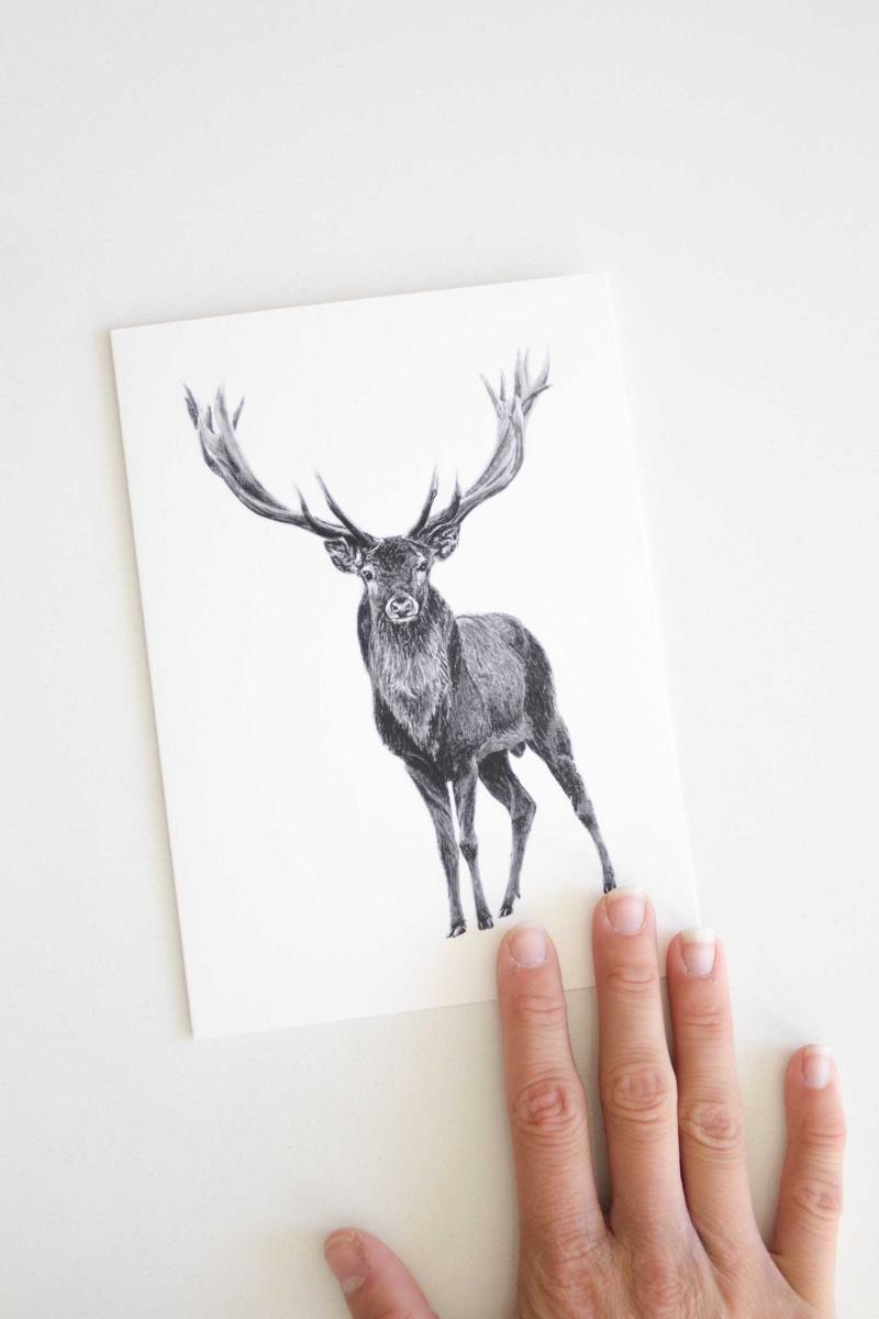 Elk Card - not applicable 1