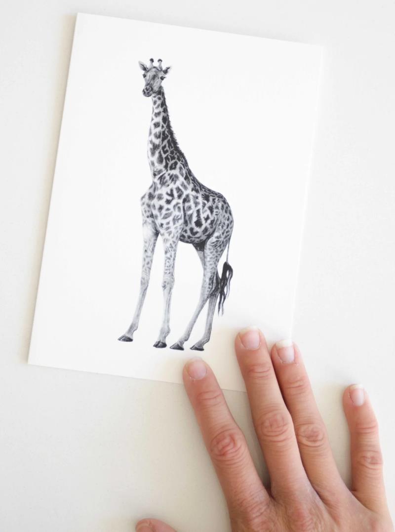 Greeting Card - Giraffe 1