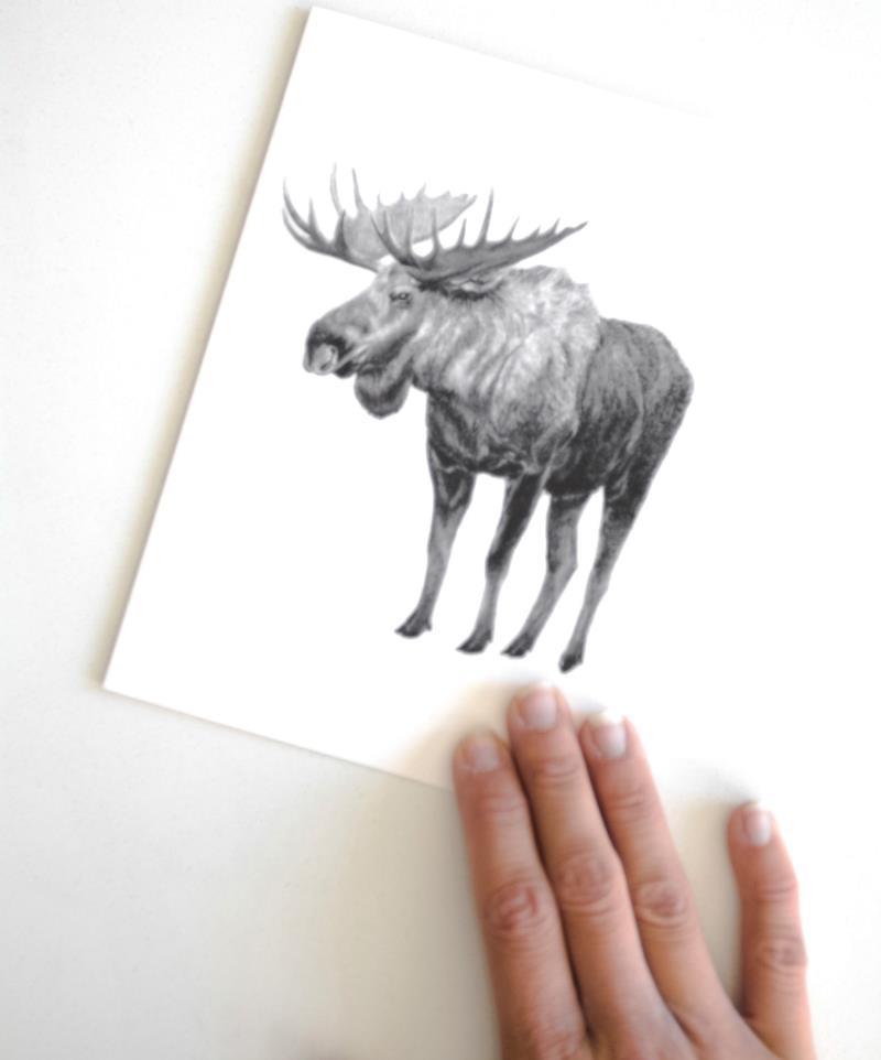 Greeting Card - Moose 1