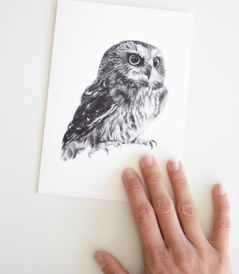 Greeting Card - Owl 1