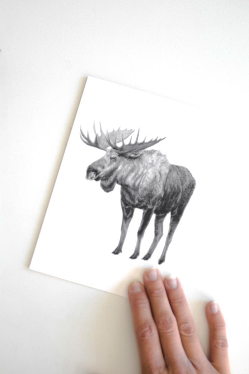 Moose Card - not applicable 1