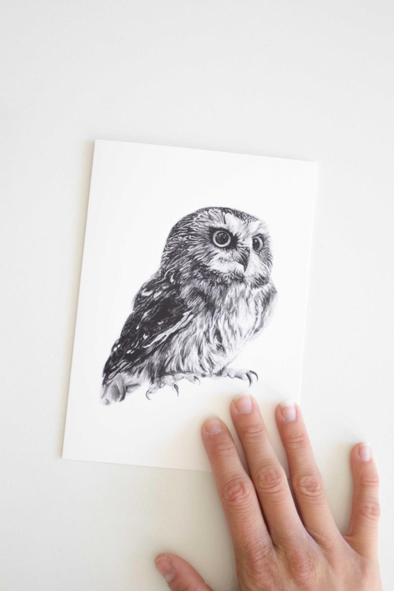 Owl Card - not applicable 1