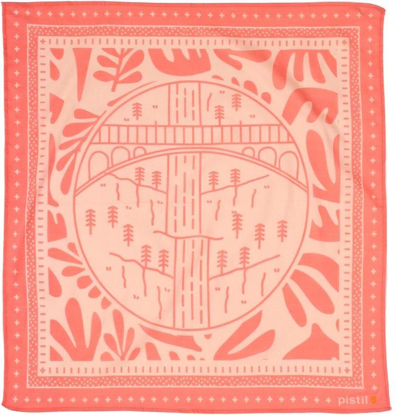 Neighborhood Bandana - benson bridge 1