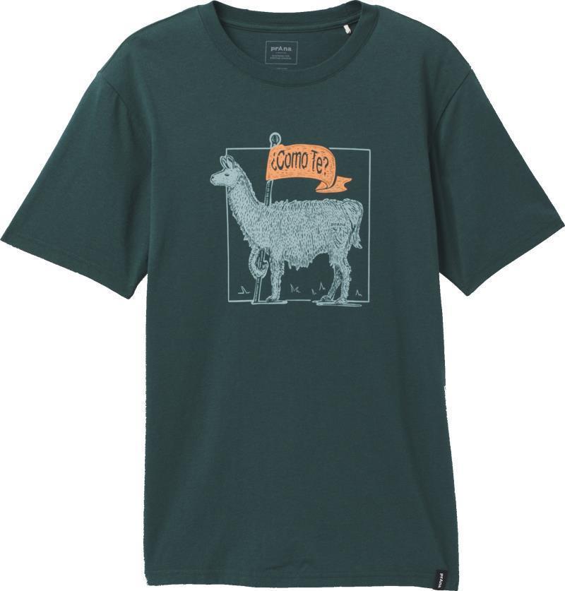 Como Te Llama Journeyman 2 - Slim - Mens - Deep Pine Heather 1