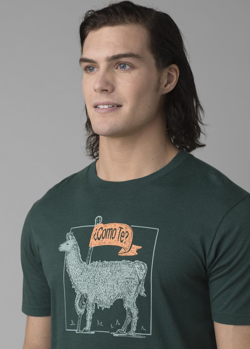 Como Te Llama Journeyman 2 - Slim - Mens - Deep Pine Heather 4