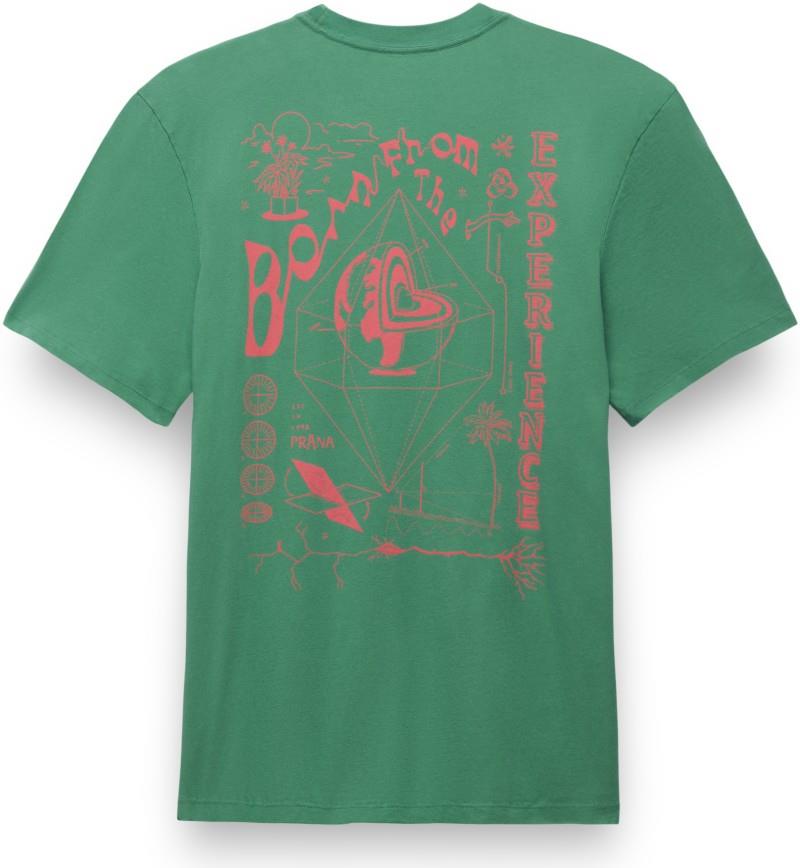 Everyday Homeostasis SS Tee - Mens - jade 1