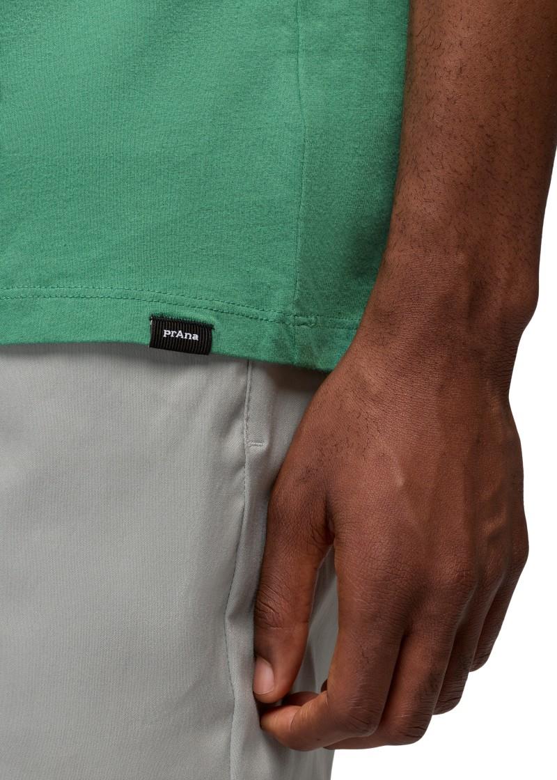 Everyday Homeostasis SS Tee - Mens - jade 1