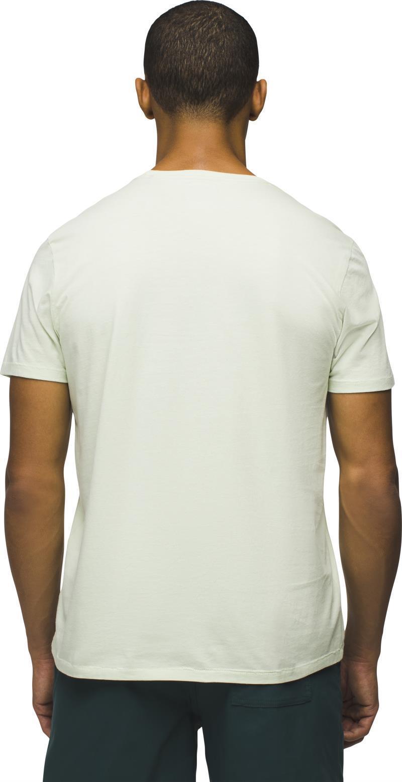 Everyday SS Tee - Mens - Pale Aloe 3