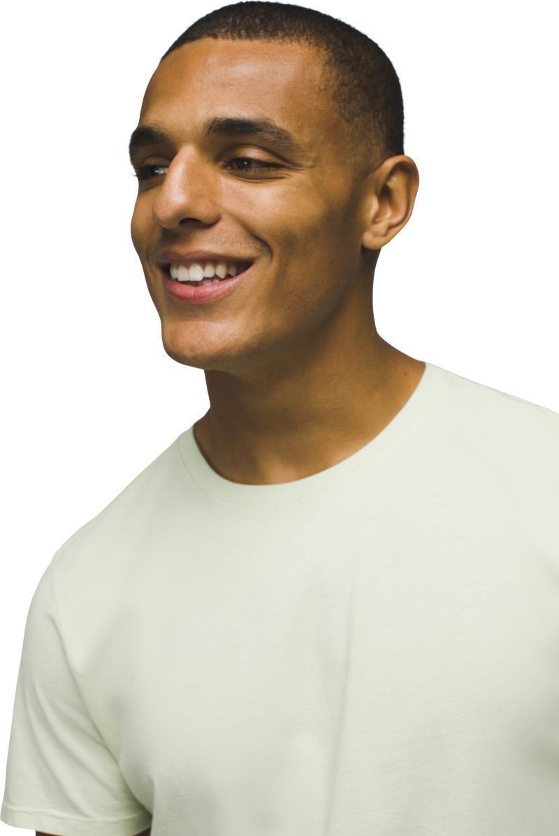 Everyday SS Tee - Mens - Pale Aloe 4