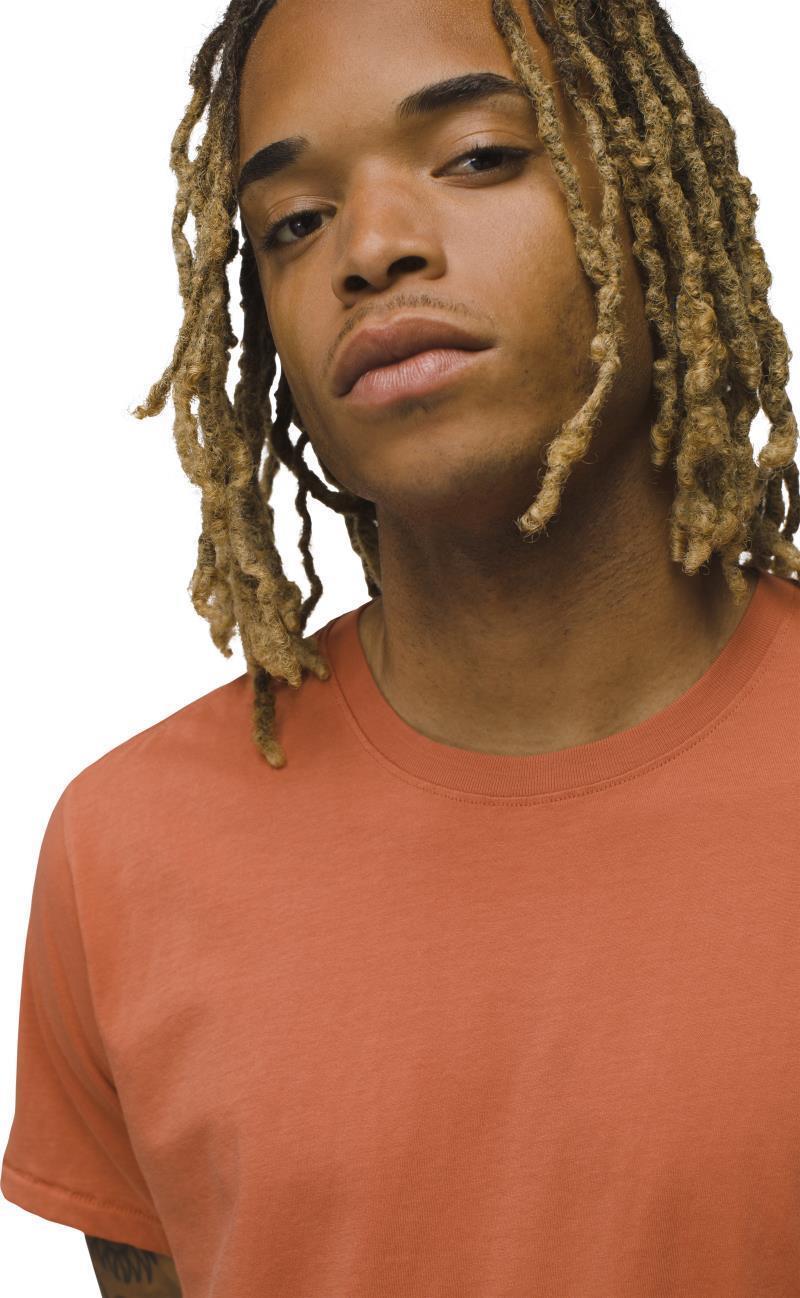 Everyday SS Tee - Mens - Terracotta 4