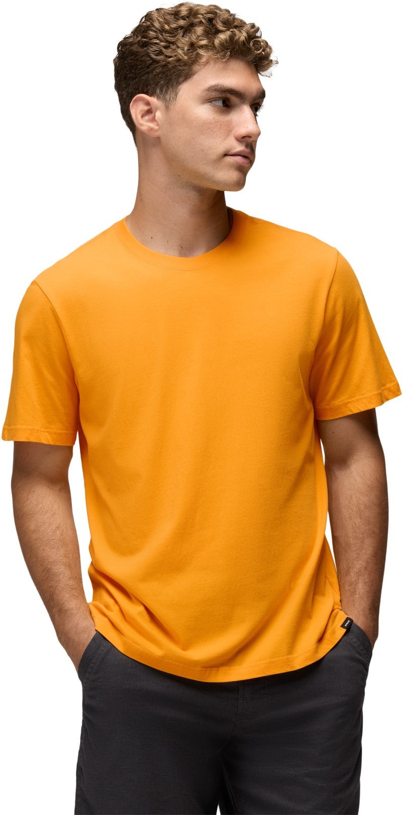 Everyday SS Tee - Mens - mango 1