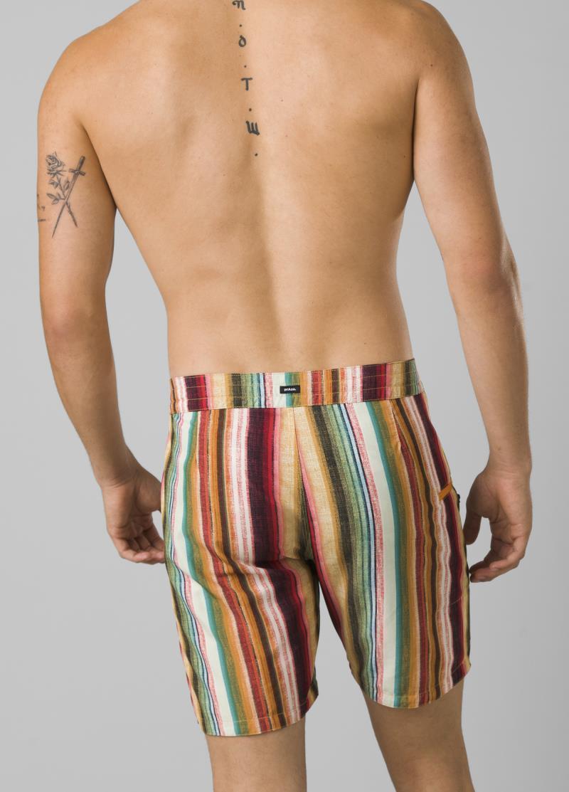 Fenton Boardshorts, 7" Inseam - Mens - Baja Stripe 3