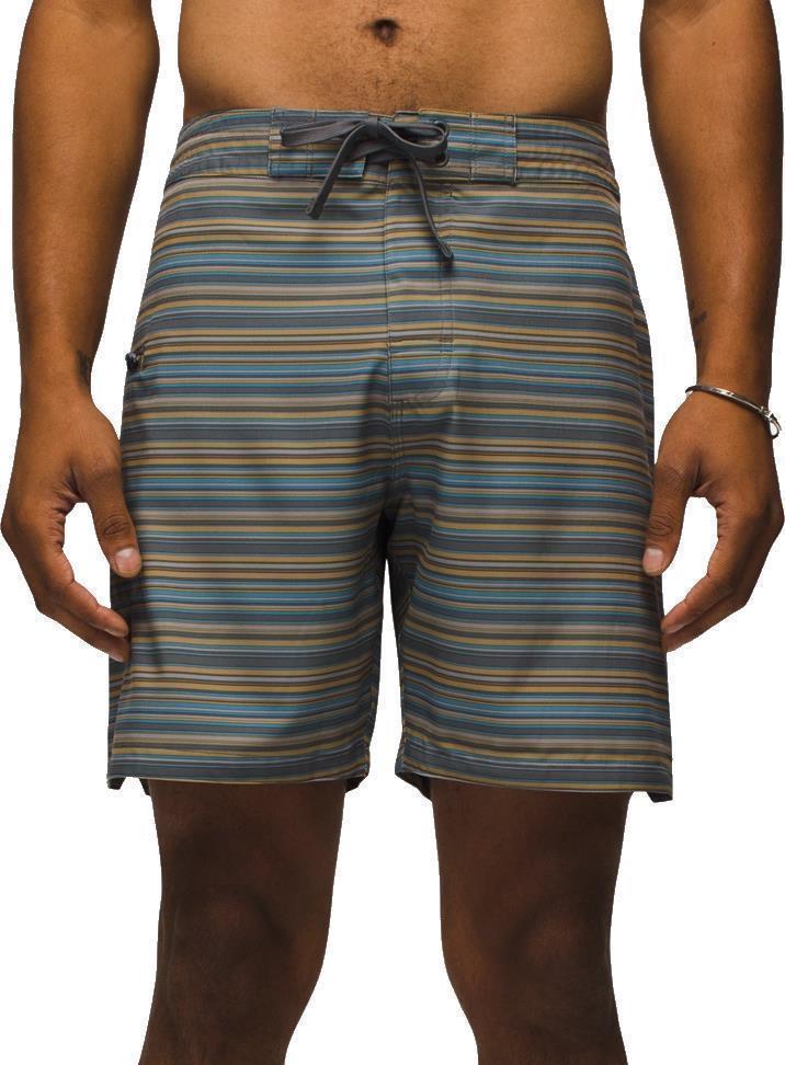 Fenton Boardshorts, 9" Inseam - Mens - Flint Clean Stripe 2