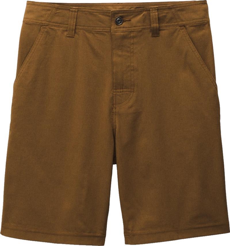 Hybridizer Shorts, 10" Inseam - Mens - Sepia 1