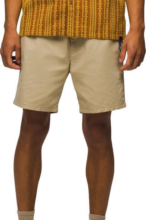 Mojave Shorts - Mens - Cliffside 2