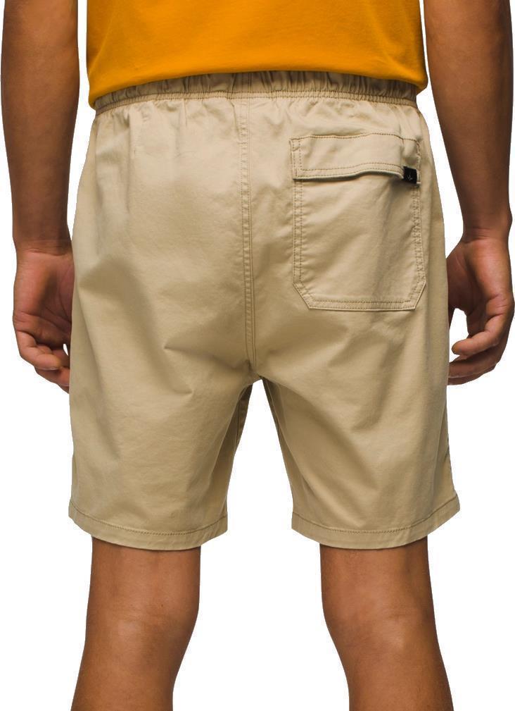Mojave Shorts - Mens - Cliffside 3