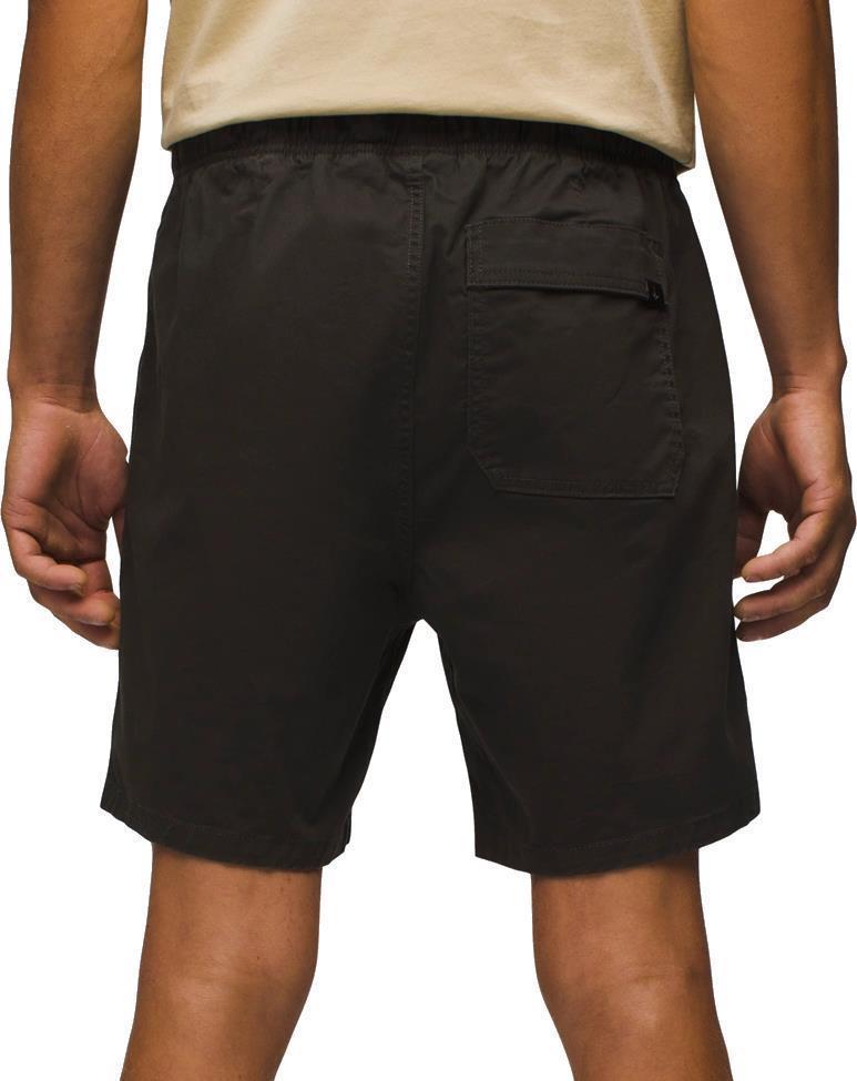 Mojave Shorts - Mens - Dark Iron 3