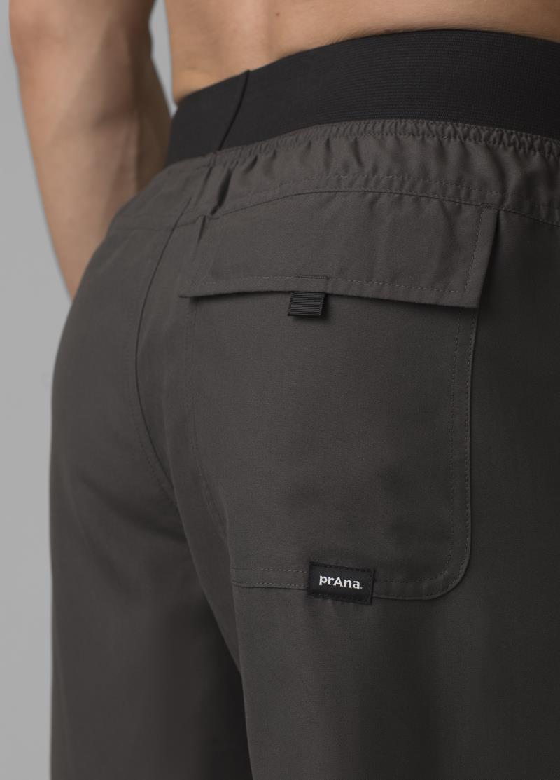 Mojo Shorts, 10" Inseam - Mens - dark iron 1