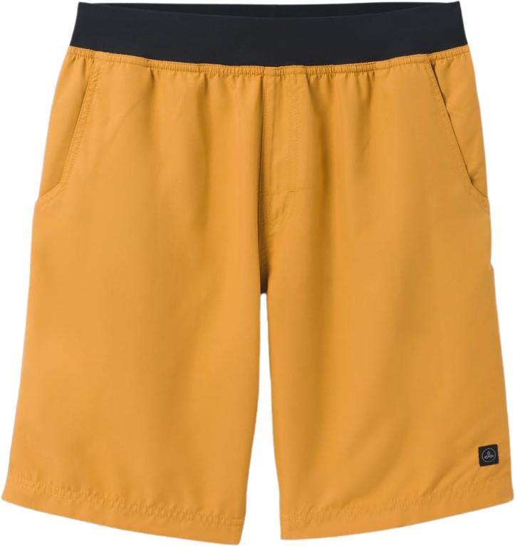 Mojo Shorts, 10" Inseam - Mens - solstice 1