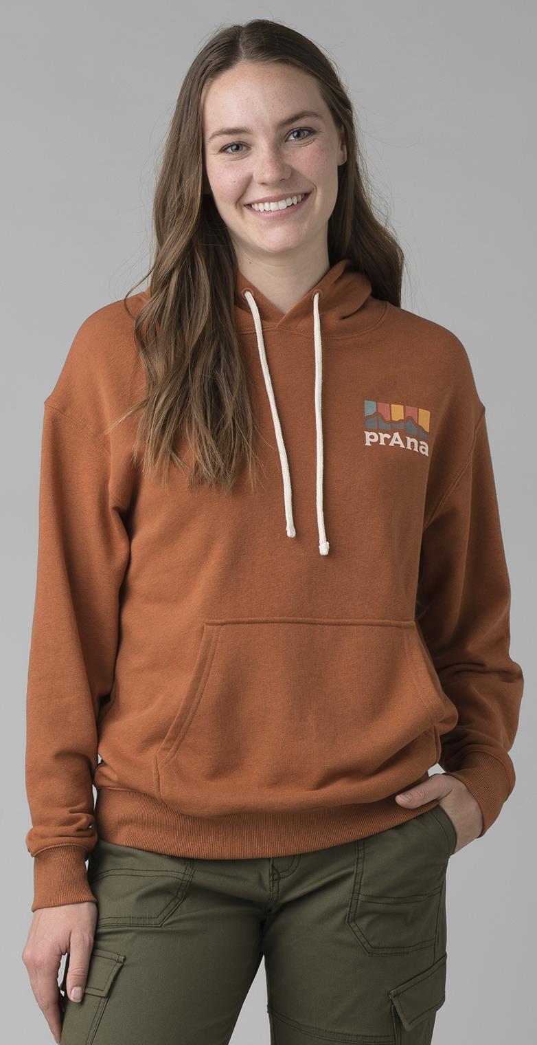 Organic Graphic Hoodie - Womens - Dark Ale Postpile 2
