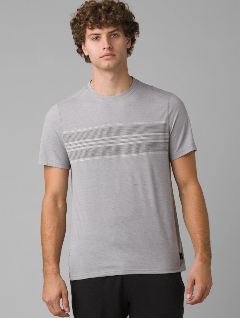 Prospect Heights Graphic SS - Mens - Grey Stripe 2