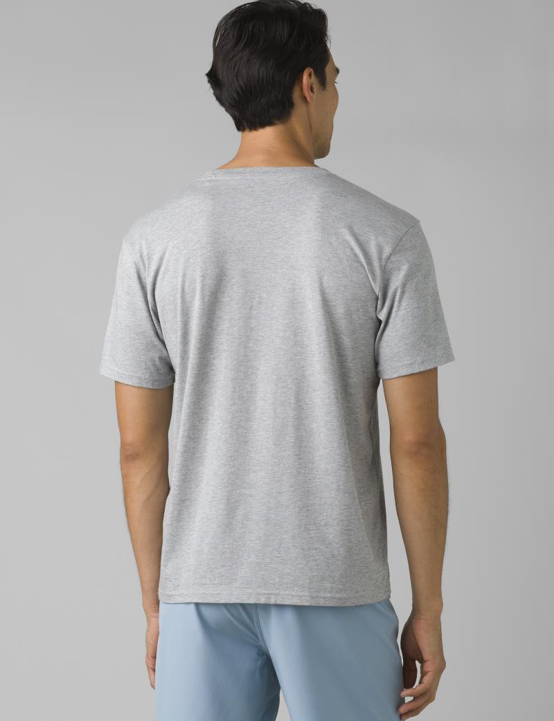 Roots Studio Graphic T-Shirt - Mens - Medium Heather Grey 3