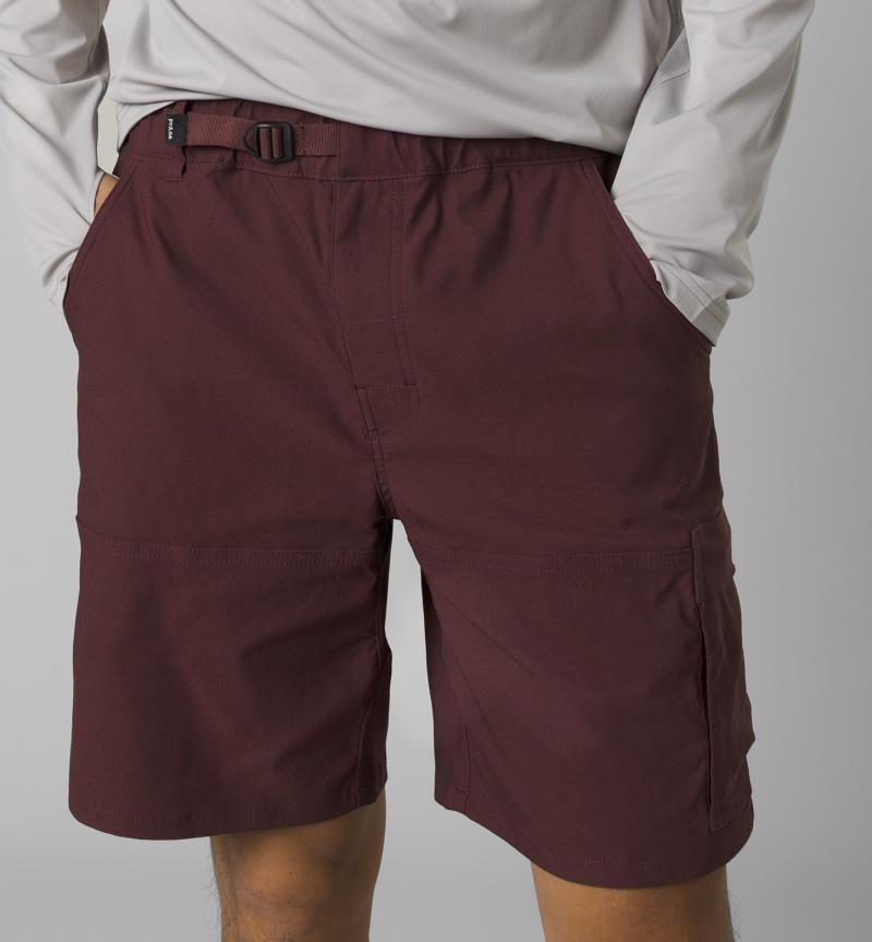 Stretch Zion E-Waist Shorts II, 10" Inseam - Mens - Cacao 2