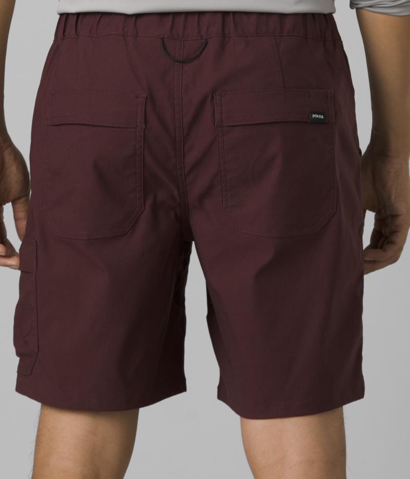 Stretch Zion E-Waist Shorts II, 10" Inseam - Mens - Cacao 3