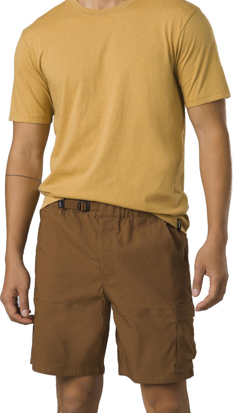 Stretch Zion E-Waist Shorts II, 10" Inseam - Mens - Sepia 5