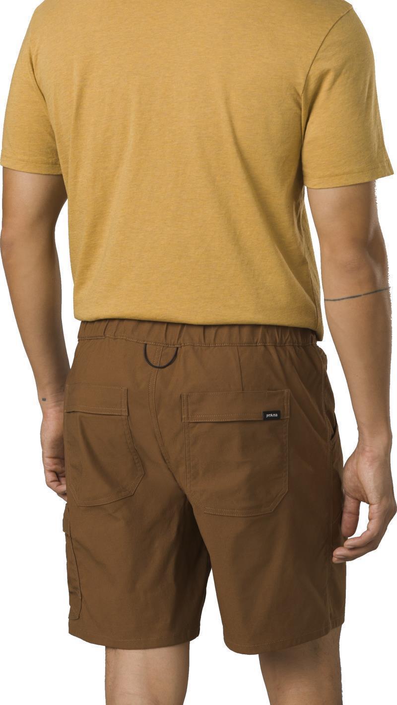 Stretch Zion E-Waist Shorts II, 10" Inseam - Mens - Sepia 6