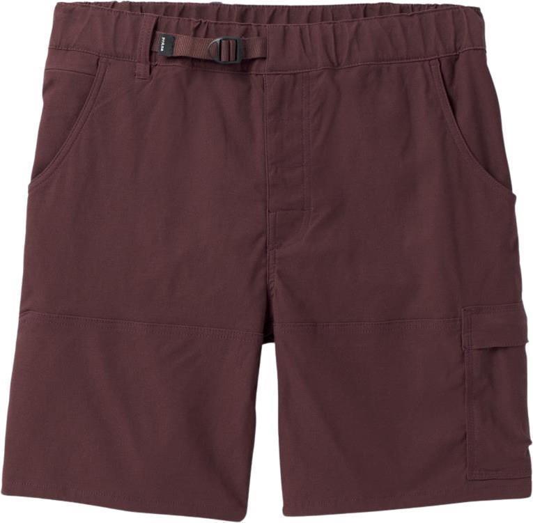 Stretch Zion E-Waist Shorts II, 8" Inseam - Mens - cacao 1