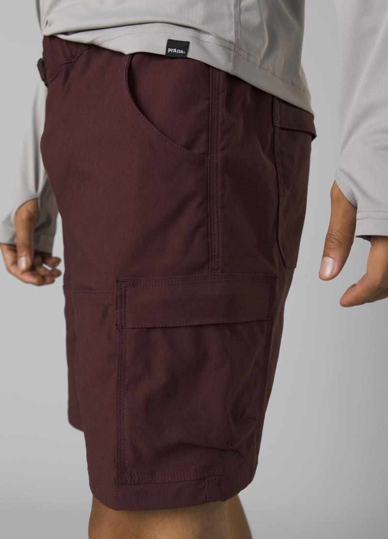 Stretch Zion E-Waist Shorts II, 8" Inseam - Mens - cacao 1