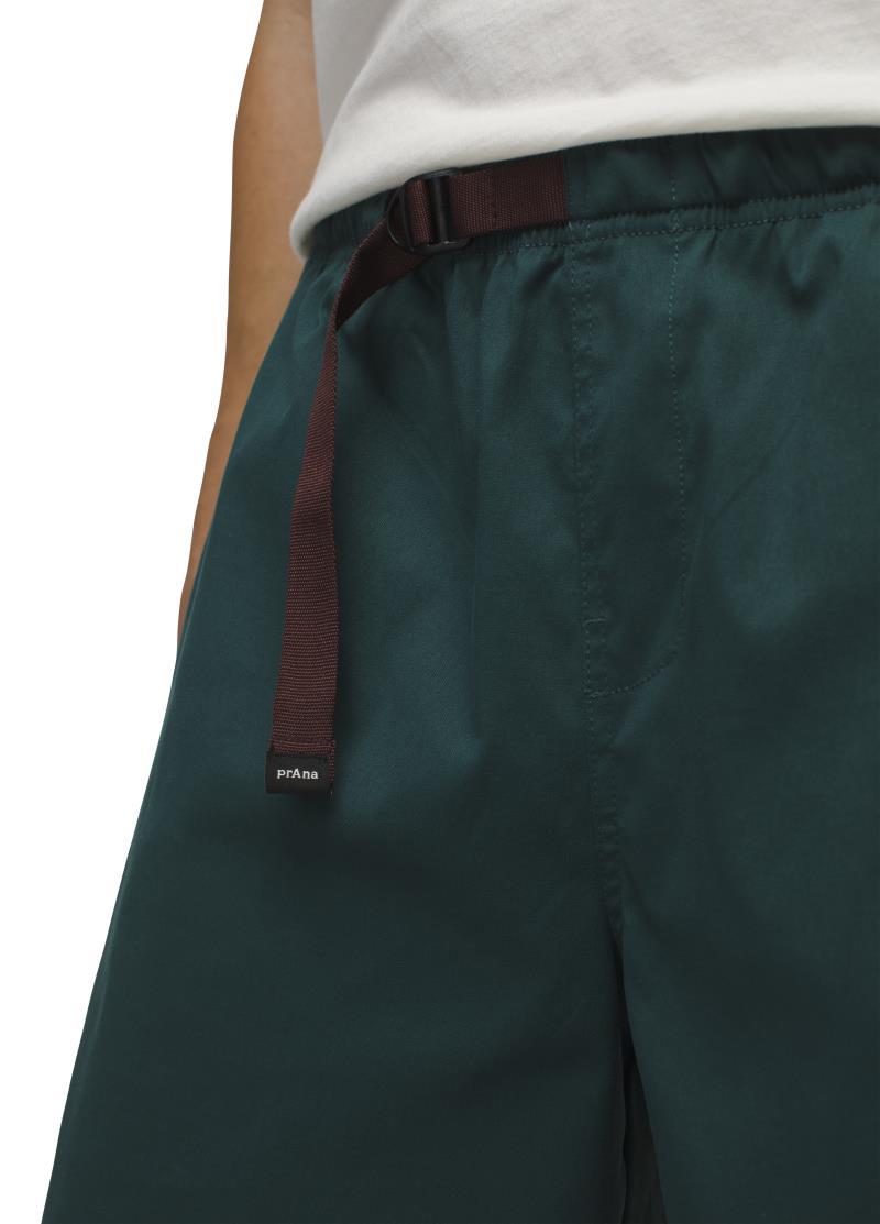 Stretch Zion Pull On Shorts, 5" Inseam - Mens - Wilderness 4
